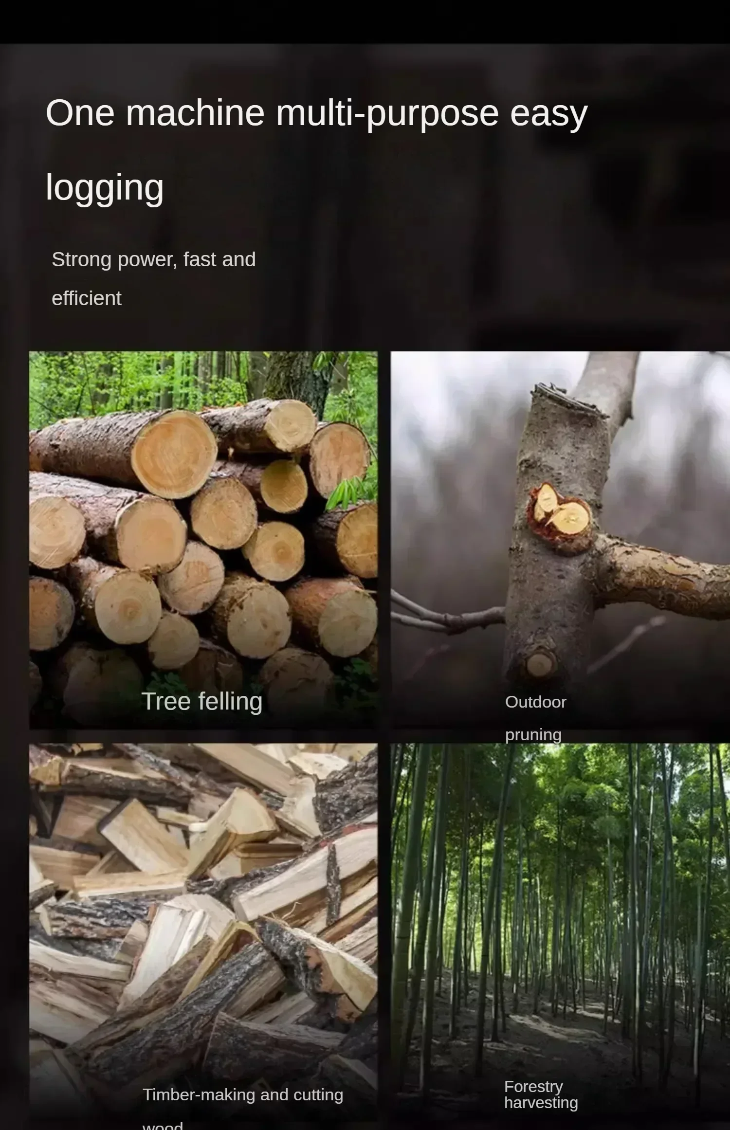 High-Power Gasoline Chainsaw for Tree Cutting in Home Use image 6