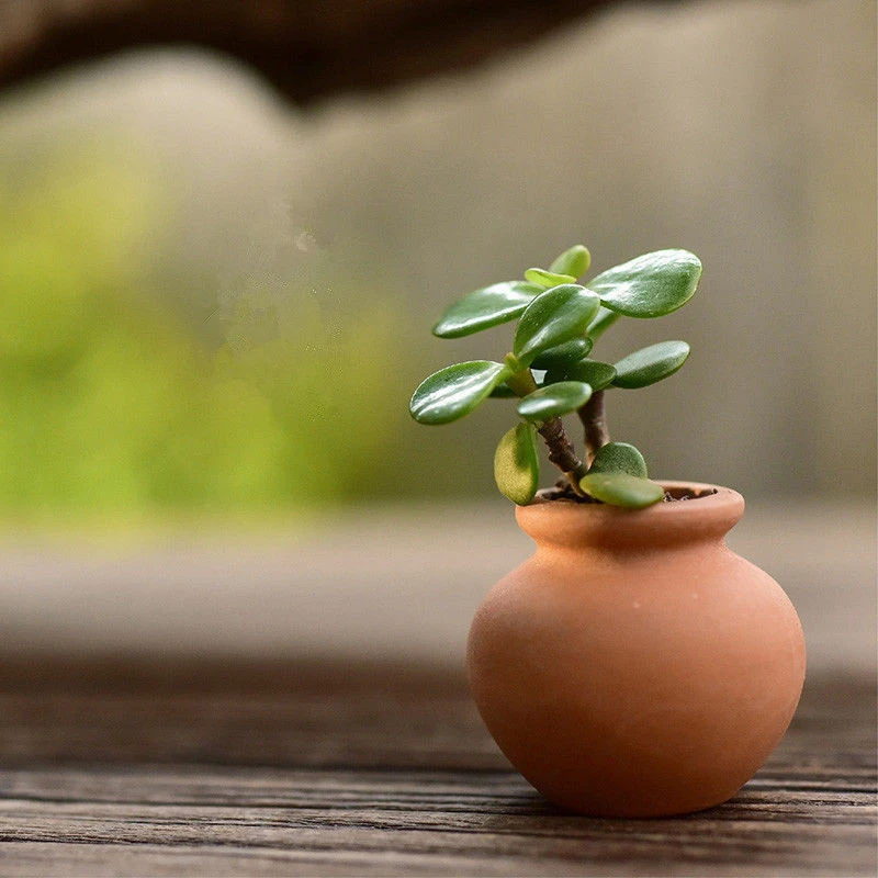 2PCS Mini Flower Pots Ceramic Flowerpot For Indoor Outdoor Flowers Small Plant Vintage Succulents Pot Garden Home Office Decor