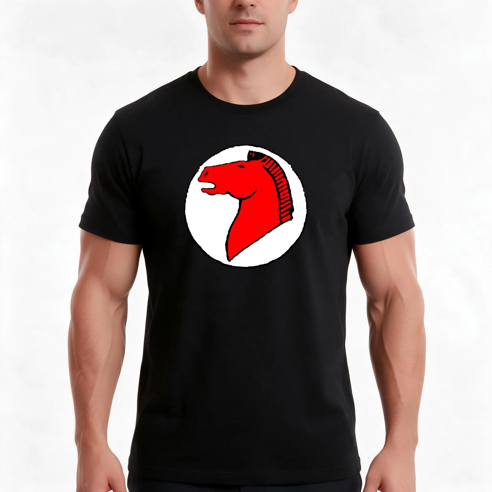 Prince Valiant T-Shirt Summer Casual Cotton Tee Oversized Streetwear Tops Vintage Graphic Print Loose Fit Short Sleeve