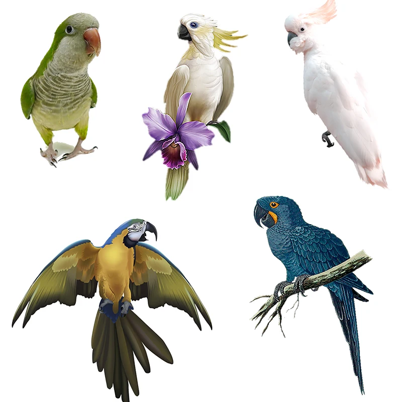 Three Ratels QN9 Cute Parrot Colorful Animal Sticker Home Decoration Luggage Sticker Mobile Phone Sticker Toilet Decal