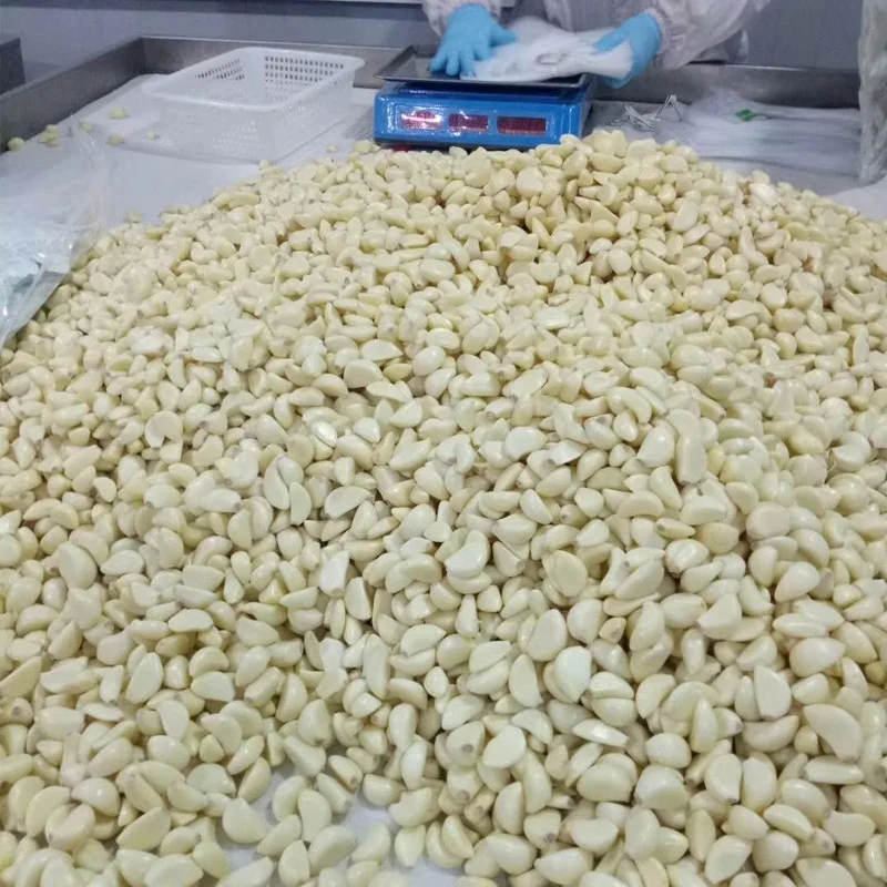 Commercial Fully Automatic Motor PLC Garlic Peeling Drying Machine 200W New Condition for Garlic Processing Skin Remover