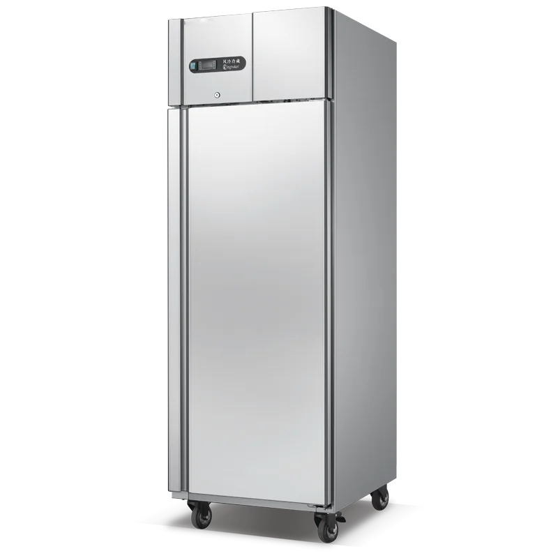 مصنع بيع سعة كبيرة تبريد الهواء ثلاجة باردة قابل للتعديل درجة حرارة واحدة تستقيم الفريزر ثلاجة باب مزدوج فندق