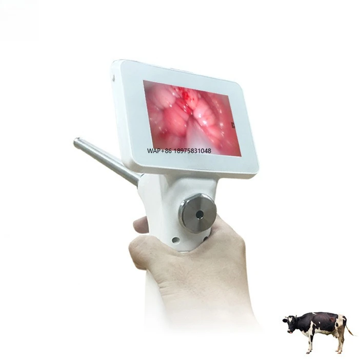 High-quality bovine artificial insemination tools veterinary insemination tools