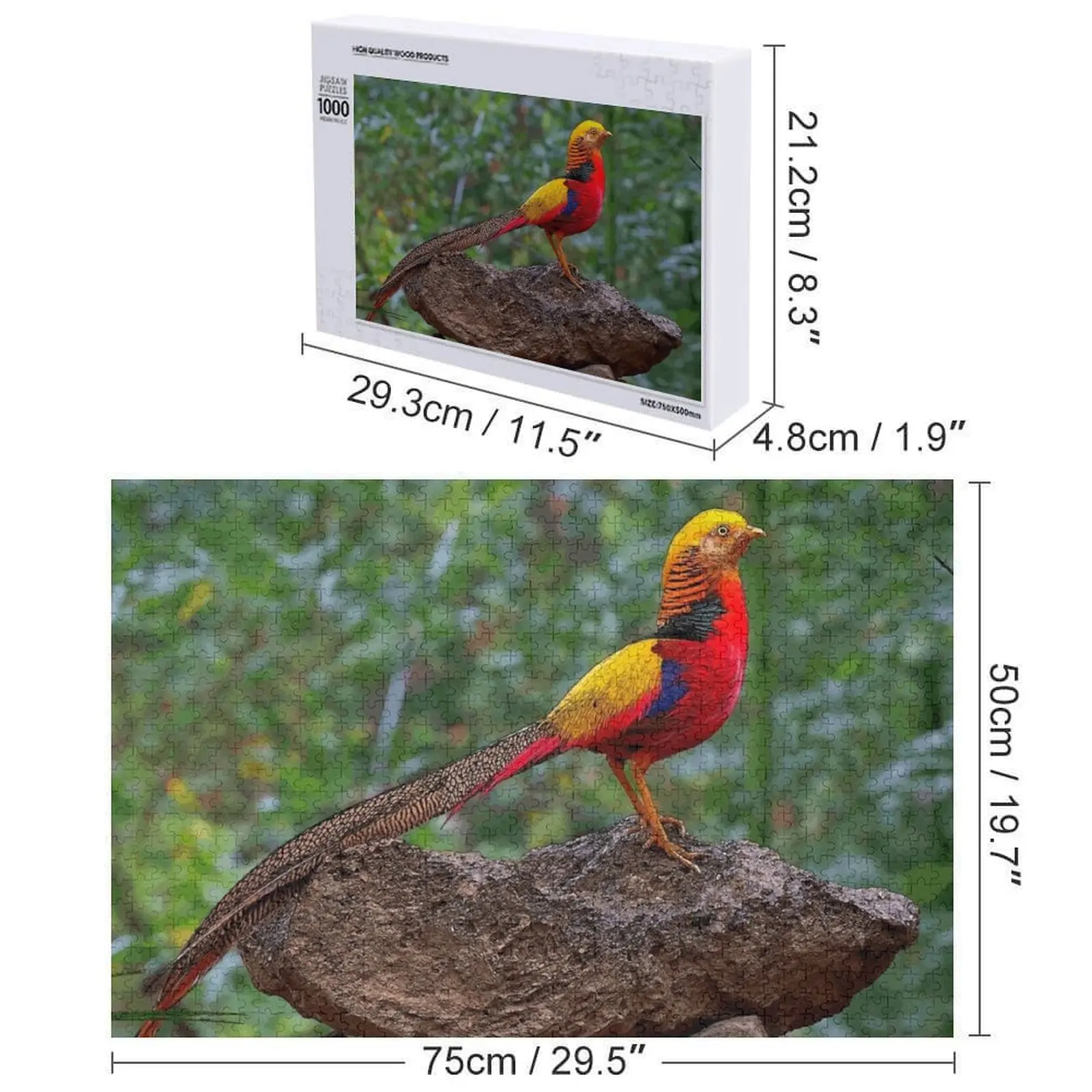 Puzzle de dessin de faisan doré, nouveaux jouets en bois pour adultes et enfants, 2022