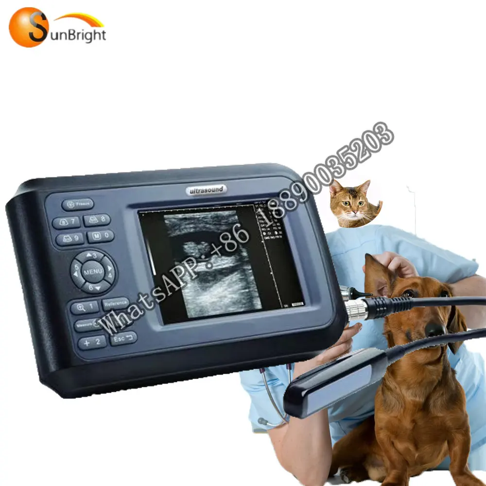 

Veterinary handheld BW ultrasound scanner vet price SUN-808F