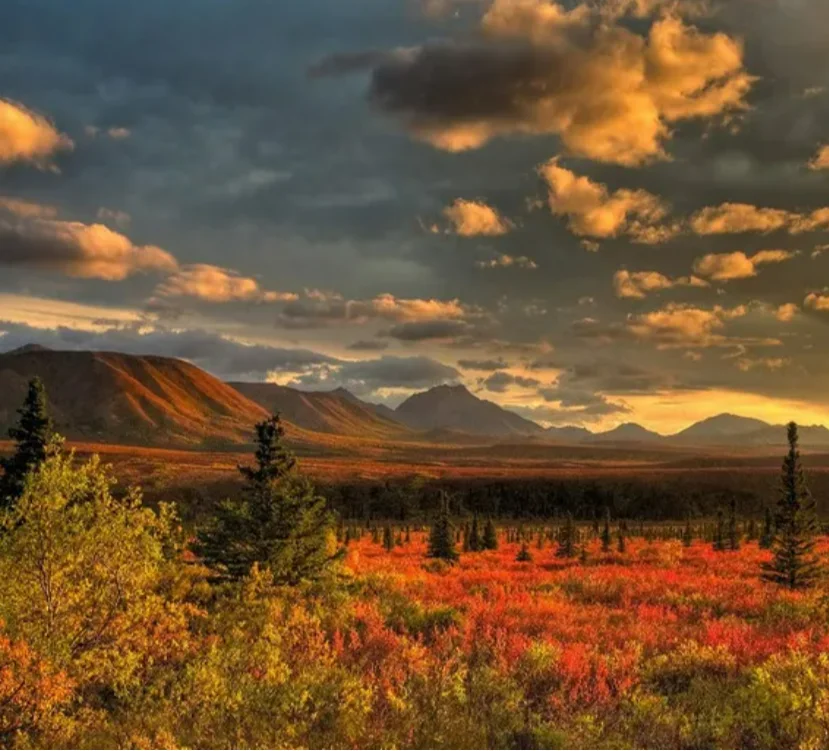 

9503E Радиоуправляемая грузовик для скалолазания в масштабе 1/16, высокоскоростной внедорожник 2,4G 4WD, 40 км/ч, гусеничный монстр с дистанционным управлением для взрослых