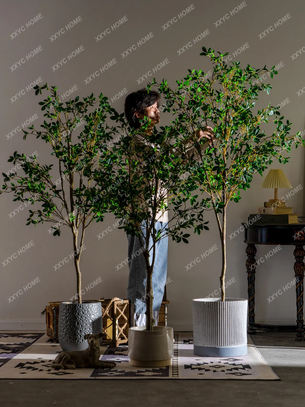 Simulation Camellia Banyan Toona Green Plant Pot Bionic Fake Trees Indoor Living Room Landscaping Decoration Decoration