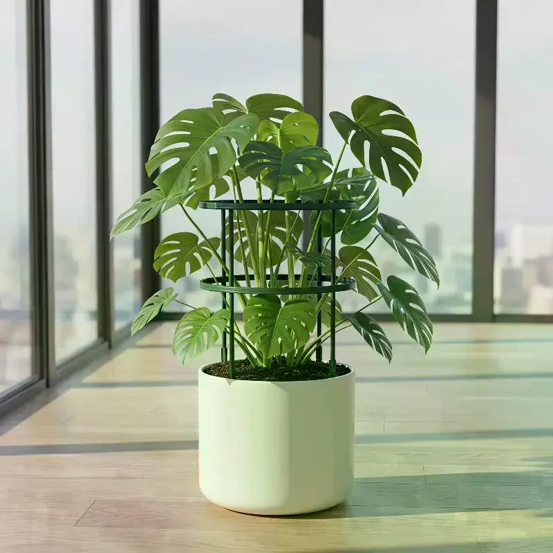 Penyangga Tanaman, Keranjang T - Bonsai Garden Stand ulasan dan harga