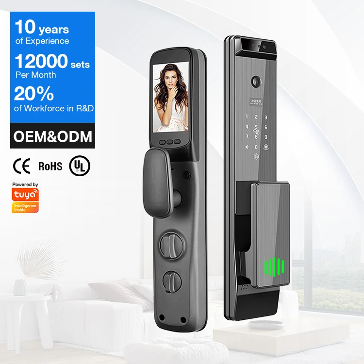 New Design 3D Face Recognition Smart Door Lock With Fingerprint Password Card Security Pull Push Handle Lock