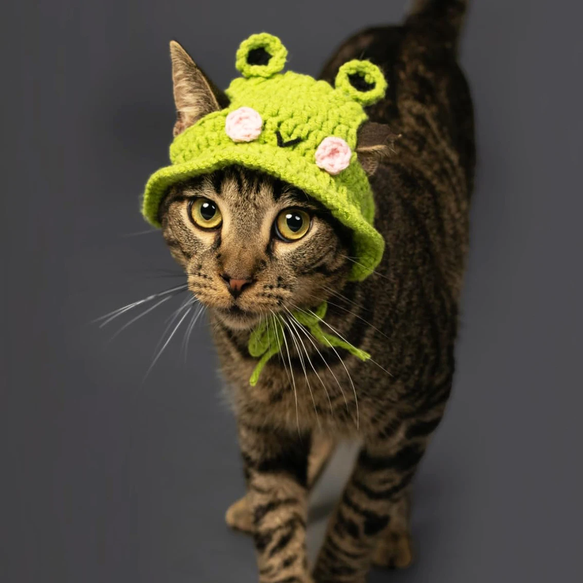 1PC Cartoon Cute Pet Cat Dog Knitted Hat, Cool Cosplay Headwear Cat Hat,Birthday Party Halloween Accessories Pet Hat