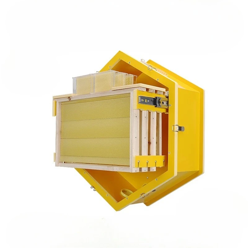Baiduoqiancong Wall-mounted Beehive Indoor Beekeeping Observation Hive 2025 Limited Edition Beekeeping Equipment