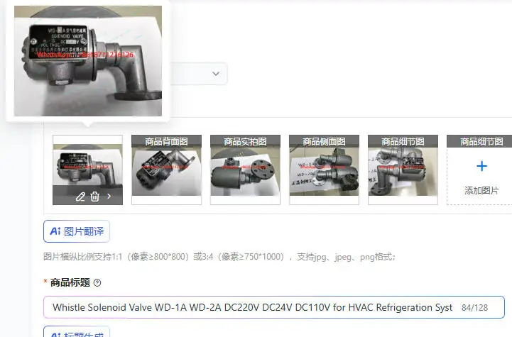 Whistle Solenoid Valve WD-1A WD-2A DC220V DC24V DC110V for HVAC Refrigeration System