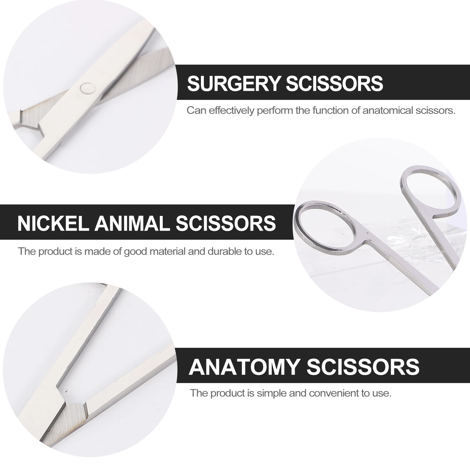 

The Animal Dissecting Scissors Anatomy Experiment Laboratory Nickel Plated Silver Student