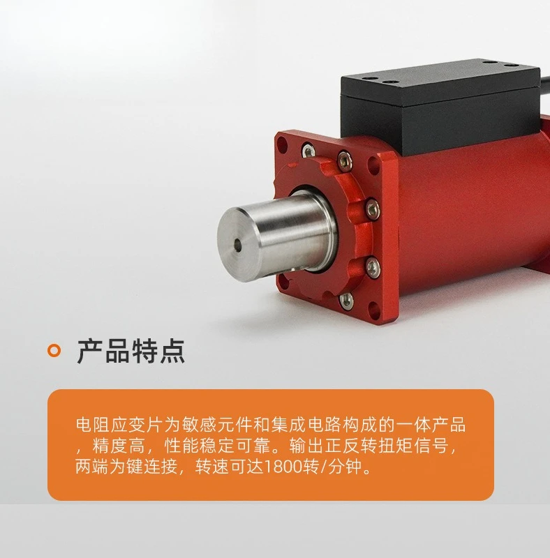 Dynamic torque sensor, torque measuring instrument, torque detection, high accuracy
