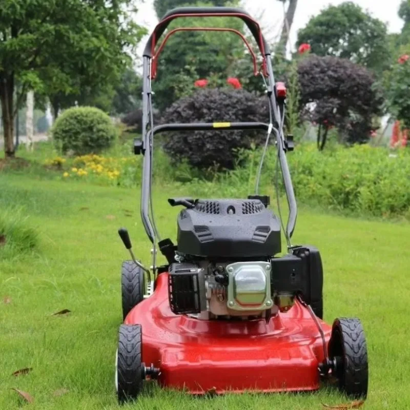 Hand Push Self Walking Garden Mini Lawn Mower Flexible Compact Body Uniform Cutting Effect Suitable For Courtyard Lawn Trimming