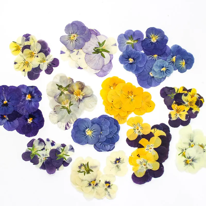 120 pcs Pressed Dried Pansy Flower Filler For Epoxy Resin Pendant Necklace Jewelry Making Craft DIY Accessories