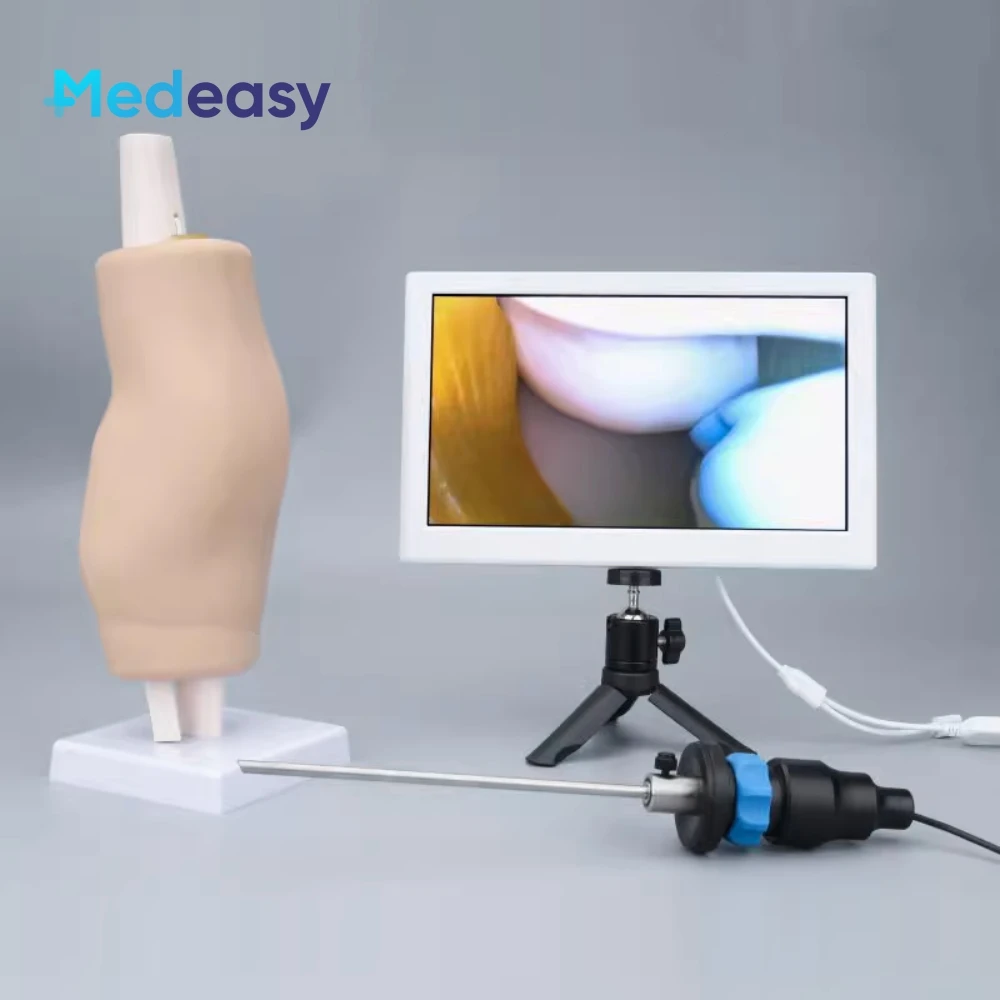 

Knee Arthroscopy Simulator Arthroscopic Surgery High Simulation Training Model Teaching Equipment