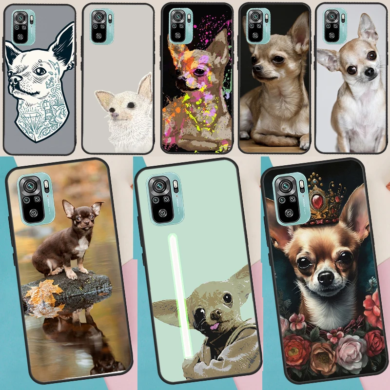 Chihuahua Dog Cute …