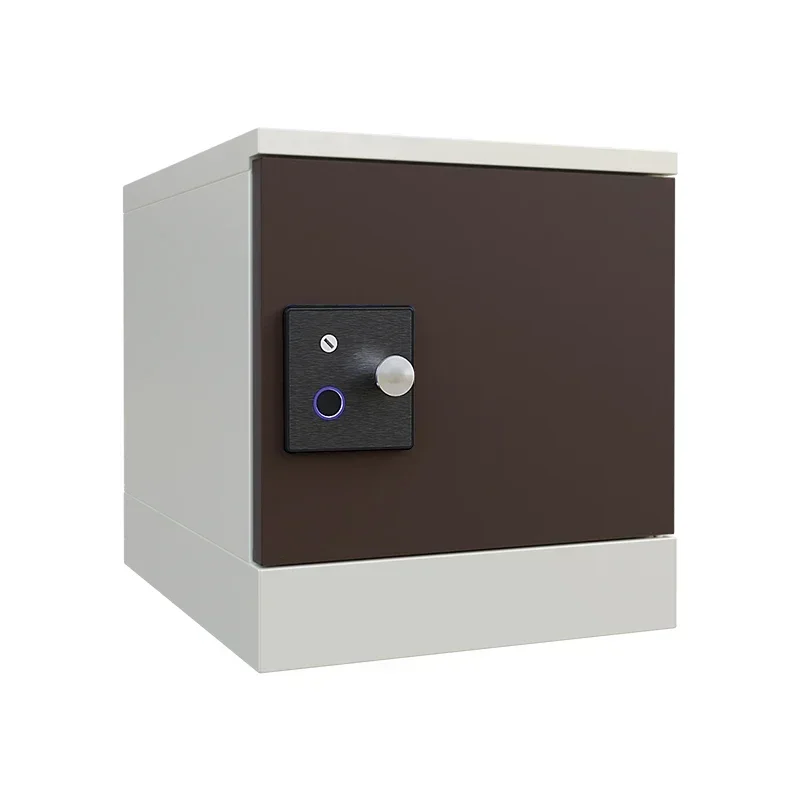Assembly Smart Locker File Cabinet Metal Mailbox Fingerprint Container IoT Cabinet School Case Library Gym Office Building Hot s