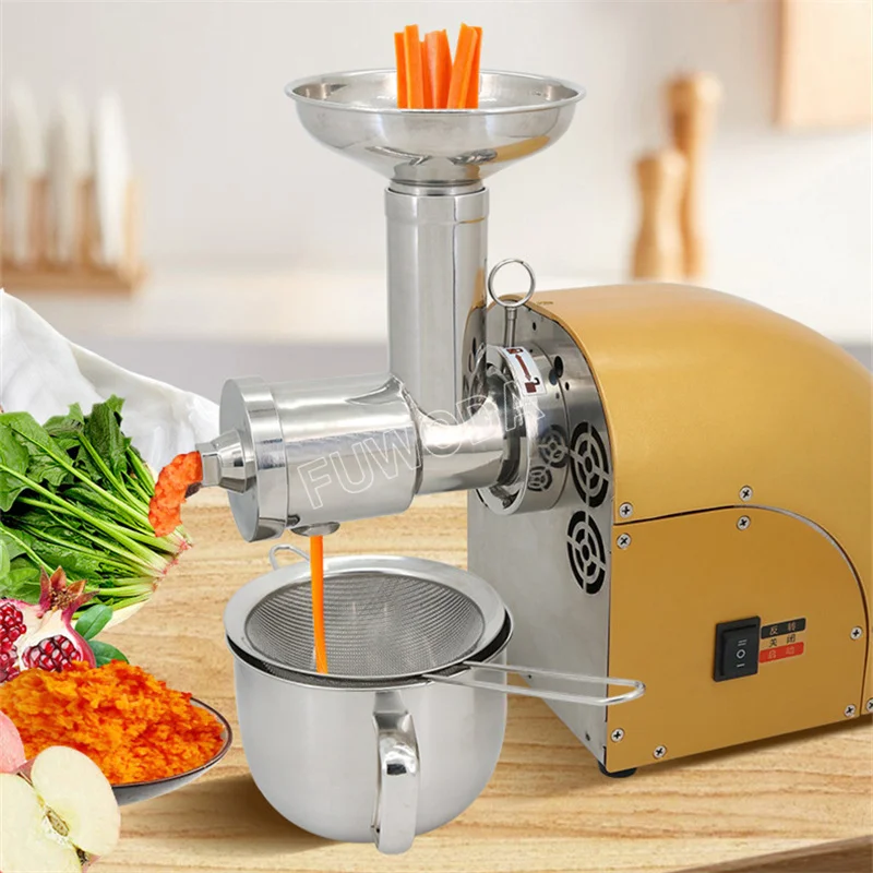 Masticating Auger Juicer 300W Fruit and Vegetable Low Speed Juice Extractor Slow Compact Cold Press Juicer Machine