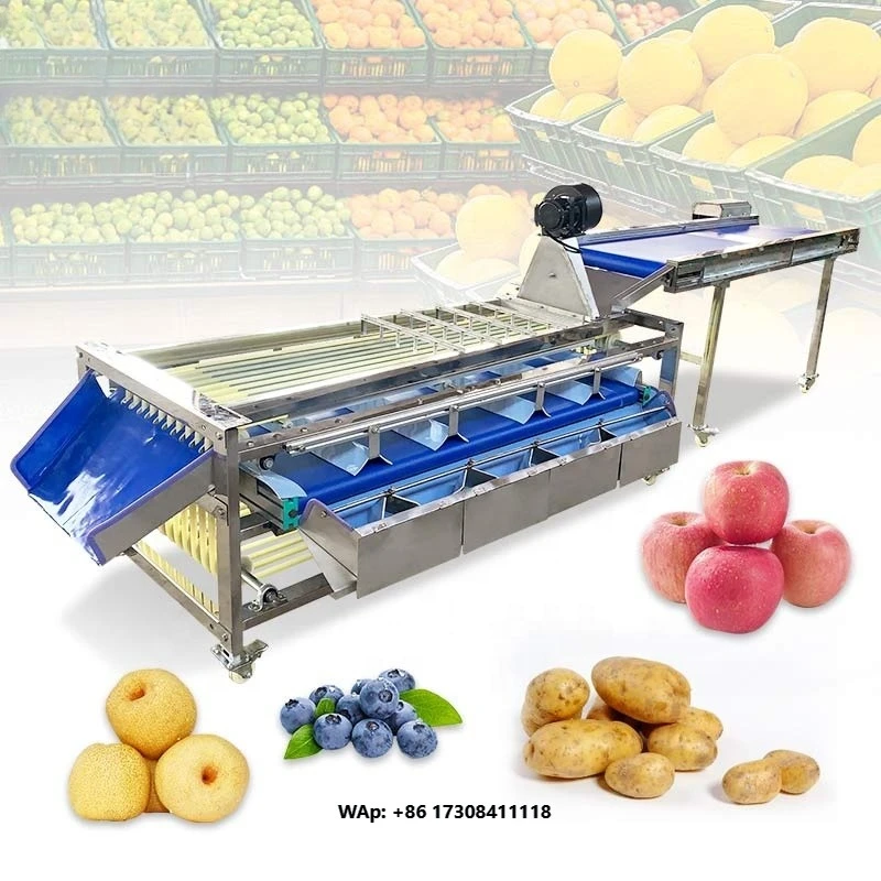 Tomato Artifical Cherry Fruit Industrial Sour Grading Date Size Sorting Machine by Weight for Sale