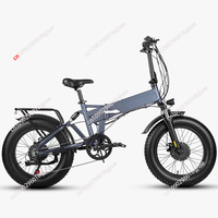 FIIDO M1 Professional Electric Folding Bike 20 Inch Wheel 500 Watt Motor 48V 12.8ah Electric Bike