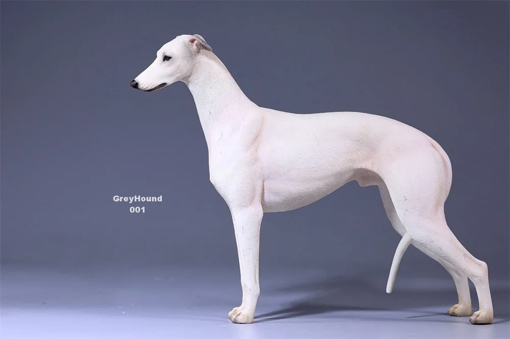 JXK GD001-6 14x5.5x17.5cm 1/6 Scale Lingti Greyhound WHIPPET Mini Simulated Cute Pet Dog Ornament Trendy Toy Figurine Model view 3
