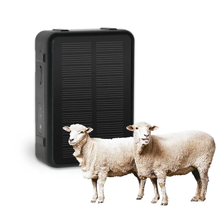 With High-End Quality 44 Solar Energy Waterproof Cattle And Sheep GPS Tracker