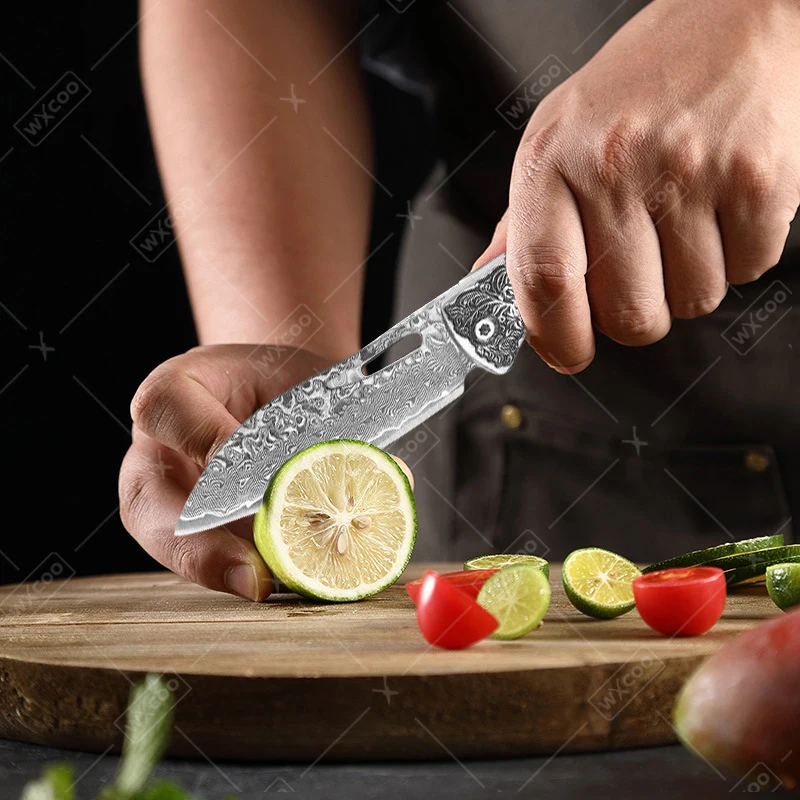 WXCOO Hand Forged Knife with Sheath Meat Cleaver Set for Cooking Butcher Knives Fillet Knife Wooden Handle Fruit Folding Knife
