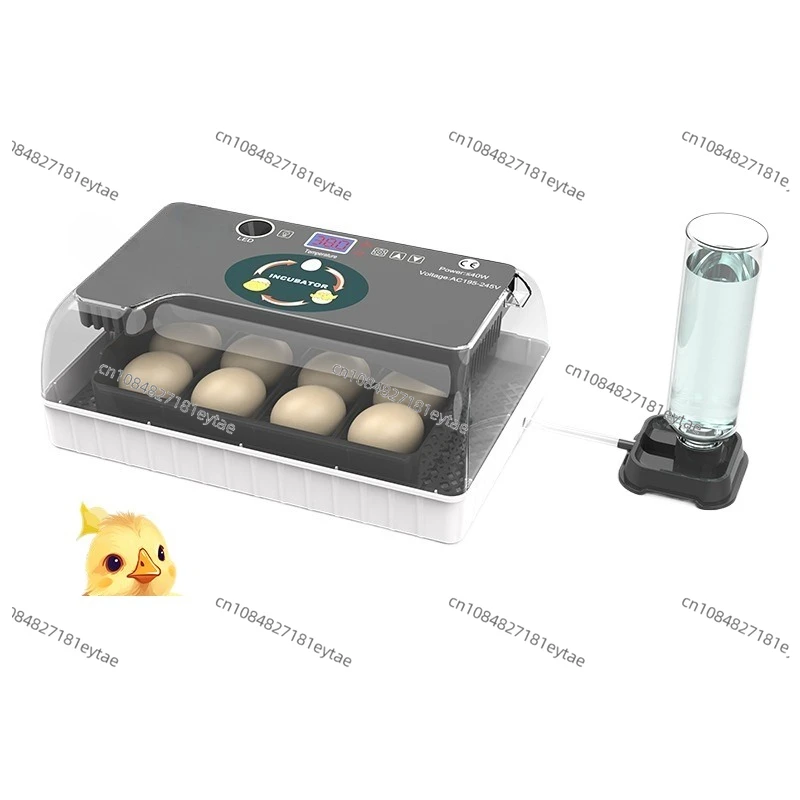 

12 Egg Mini Incubator Small Automatic Smart Poultry Hatcher for Chicken Home Use