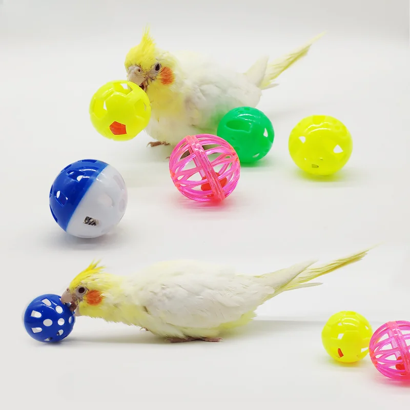 5Pcs Pet Parrot Toy…