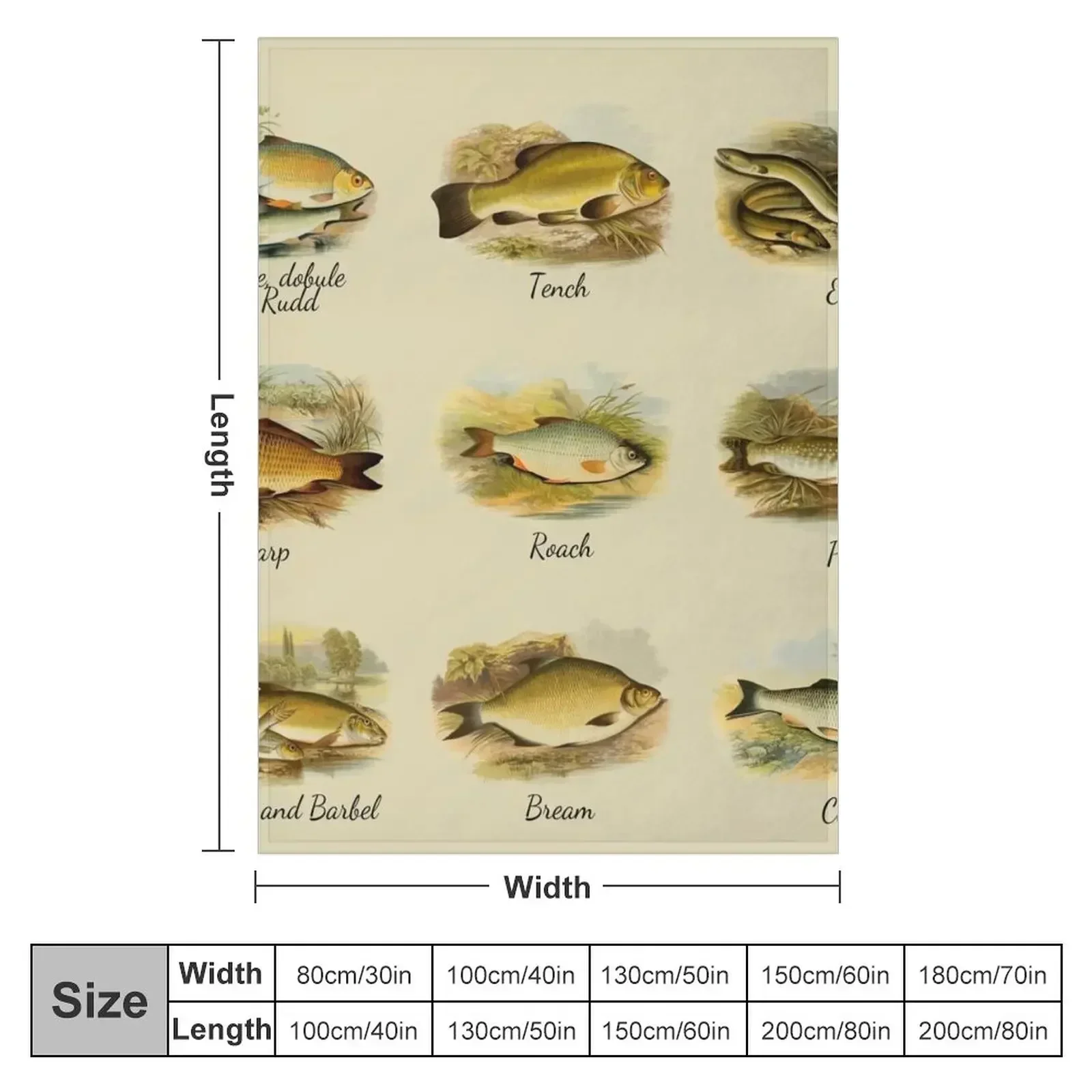 British Freshwater fish identification ID Throw Blanket couch cozy soft plush fuzzy picnic outdoor blanket