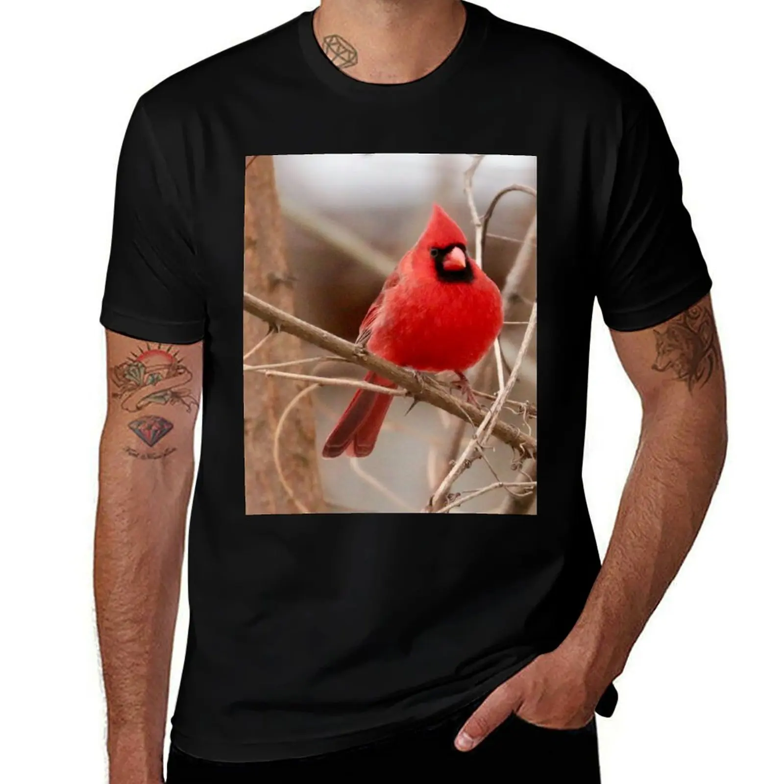 Red Cardinal T-Shirt Streetwear Print Tee Shirt T-Shirt