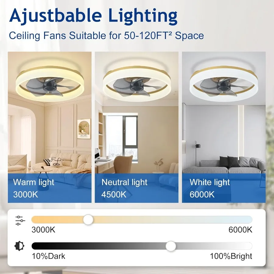 مروحة سقف LED حديثة منخفضة المستوى مع ضوء لغرفة النوم وغرفة المعيشة: تصميم ذهبي خافت بدون شفرات مع تطبيق