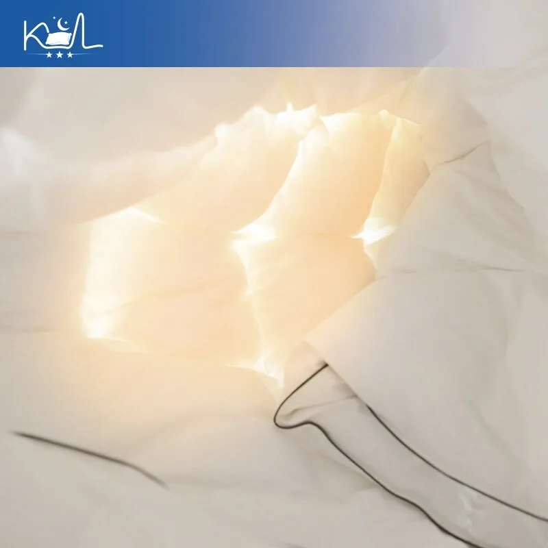 3D Bread Grid 100% Goose Down Comforter King Queen Full Size Luxury Winter Thick Warm Duvet Insert Hotel Quality Bedding