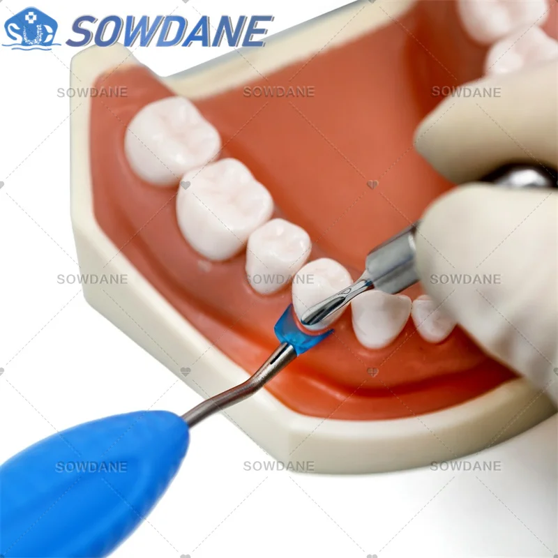 New Dental Gingival Retractor Gum Retraction Tool with Silicone Handle Gingival Retraction Kit Ergosense Instrument Autoclavable