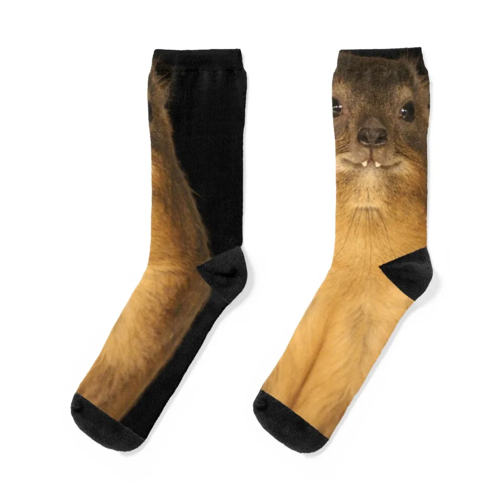 

Rock Hyrax Photo - Dassie Cute Vampire Potato Socks Antiskid soccer cycling designer Thermal man winter Socks Woman Men's