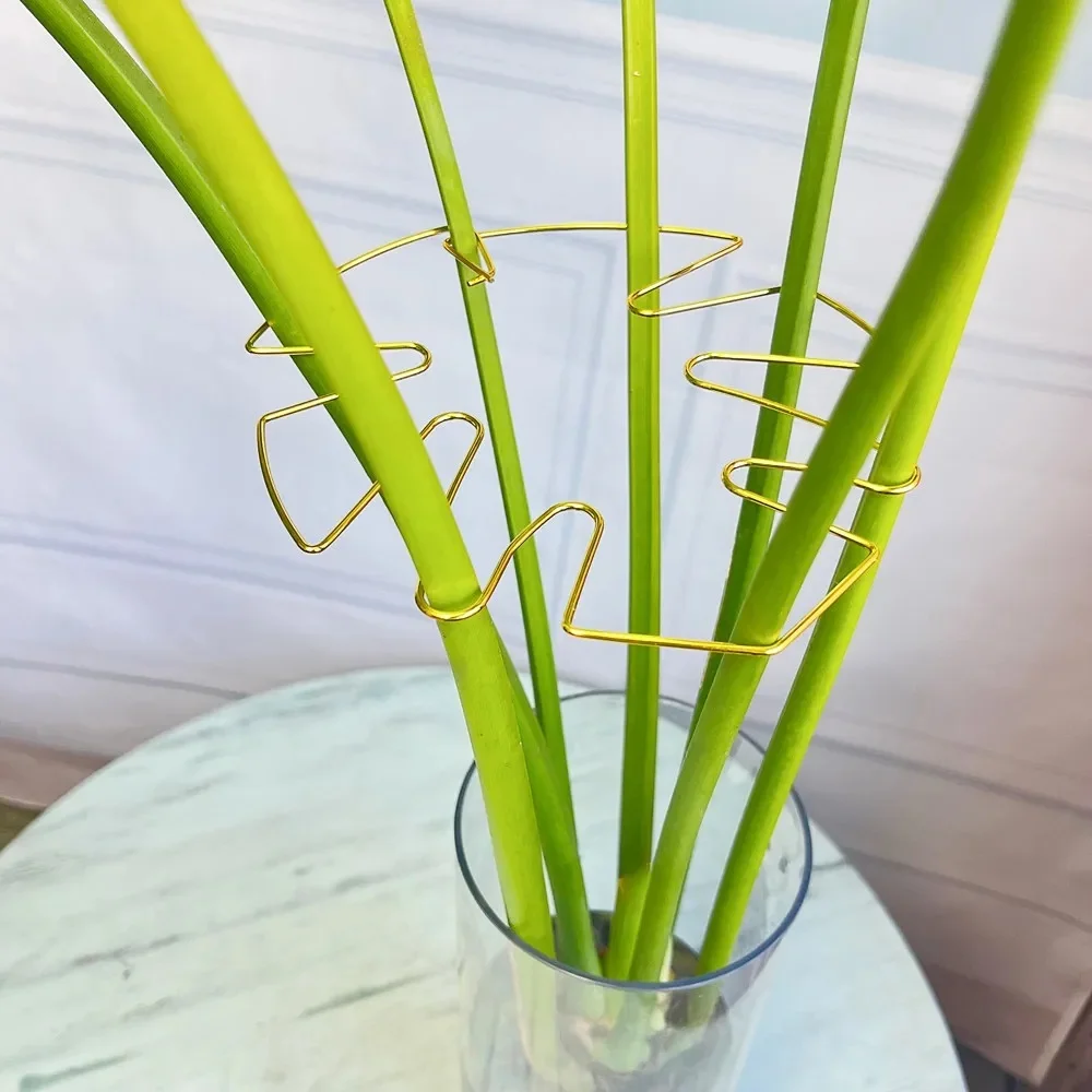 Anti-toppling Large hanging plant stand Plant Stem Support Frame Sturdy Climbing Stems Leaf Stabilizer for flowerpot decoration