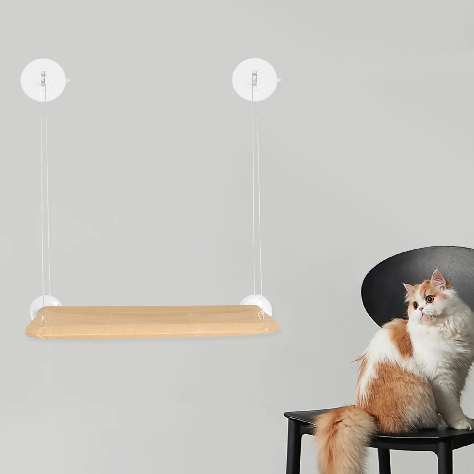 

8pcs Cat Window Hammock Suction Cups Transparent Strong Hold Glass Wall Mount Perch Bed Space Saving Indoor Cat Lounge No Drill