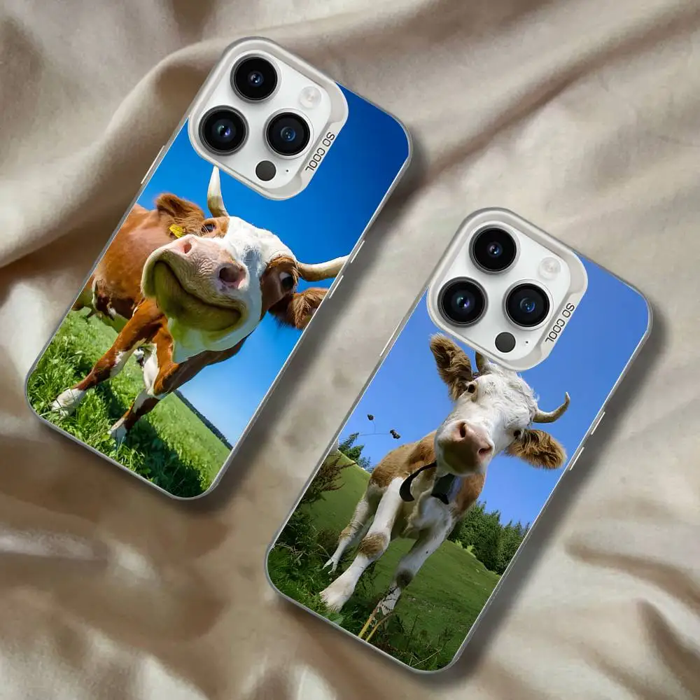 

Lovely Cute Cow Cows OX For iPhone 17,16,15,14,13,12,11,Mini,Pro,E,SE4,XS,MAX White Candy Matte Cover