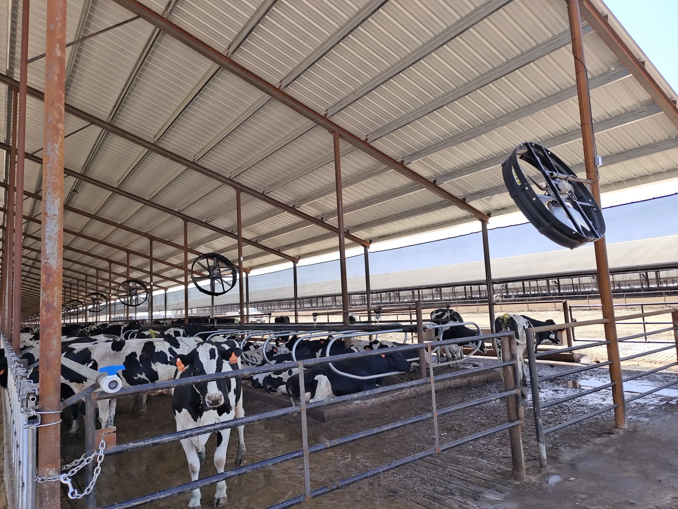 مروحة منفاخ هواء جديدة للتهوية لمزرعة الخنازير والماشية والحصان والبقرة والأغنام مروحة توزيع فعالة