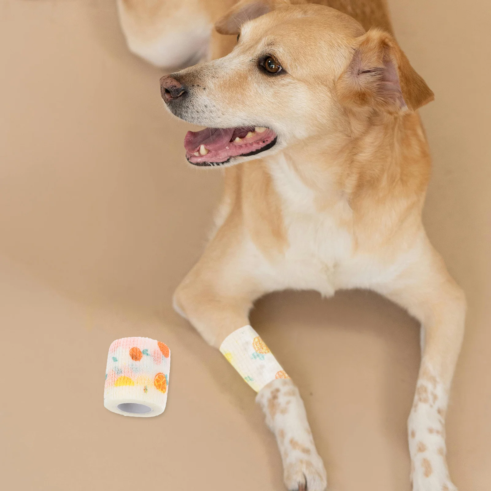 

Pet Self Fruit Pattern Non-Woven Tape For Dogs Cats Horses Wounds Protection Paw Leg Wrap Horse