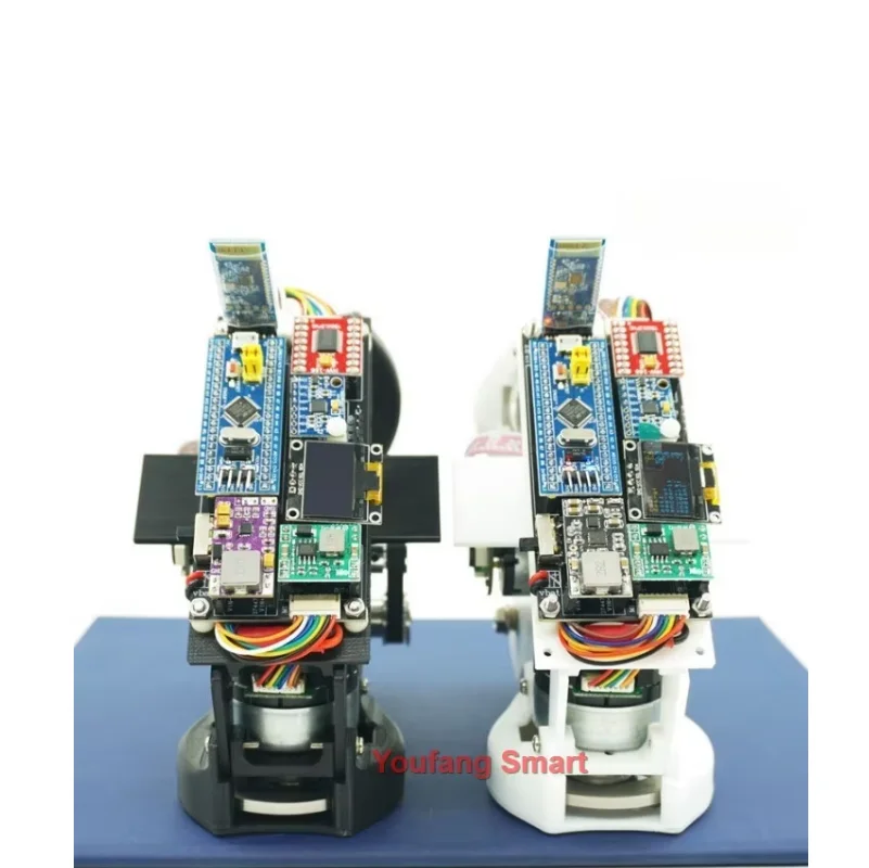 Stampa 3D RC Tank monocycle auto intelligente per STM32 Robot Car Open Source Competition APP Control monocycle Balance Robot Kit