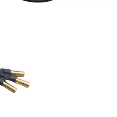 12-24V 5KG Thrust Brushless Underwater Thruster Motor 600W 30A for Kayak Fishing Boat DIY 4mm Banana Plug