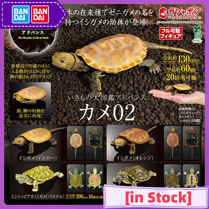 

Bandai Toys Biological Big Picture Mirror Turtle 2 Simulation Brazilian Turtle Japanese Stone Turtle Figurine Model Ornament Toy
