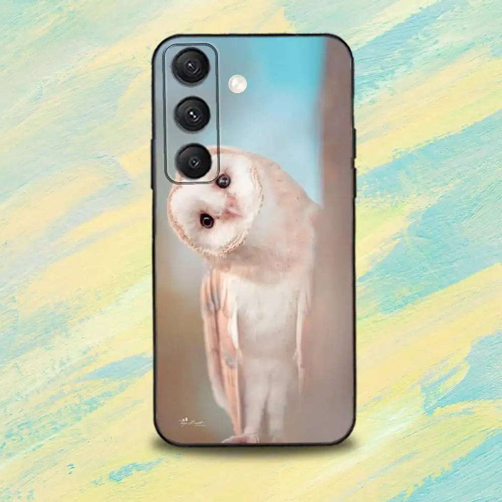 C-Cute O-Owl Custodia per telefono colorata BBird per Samsung S25, S24, S10, S22, S21, S20, S23, Ultra, Plus, Lite, FE, Cover morbida in silicone nero