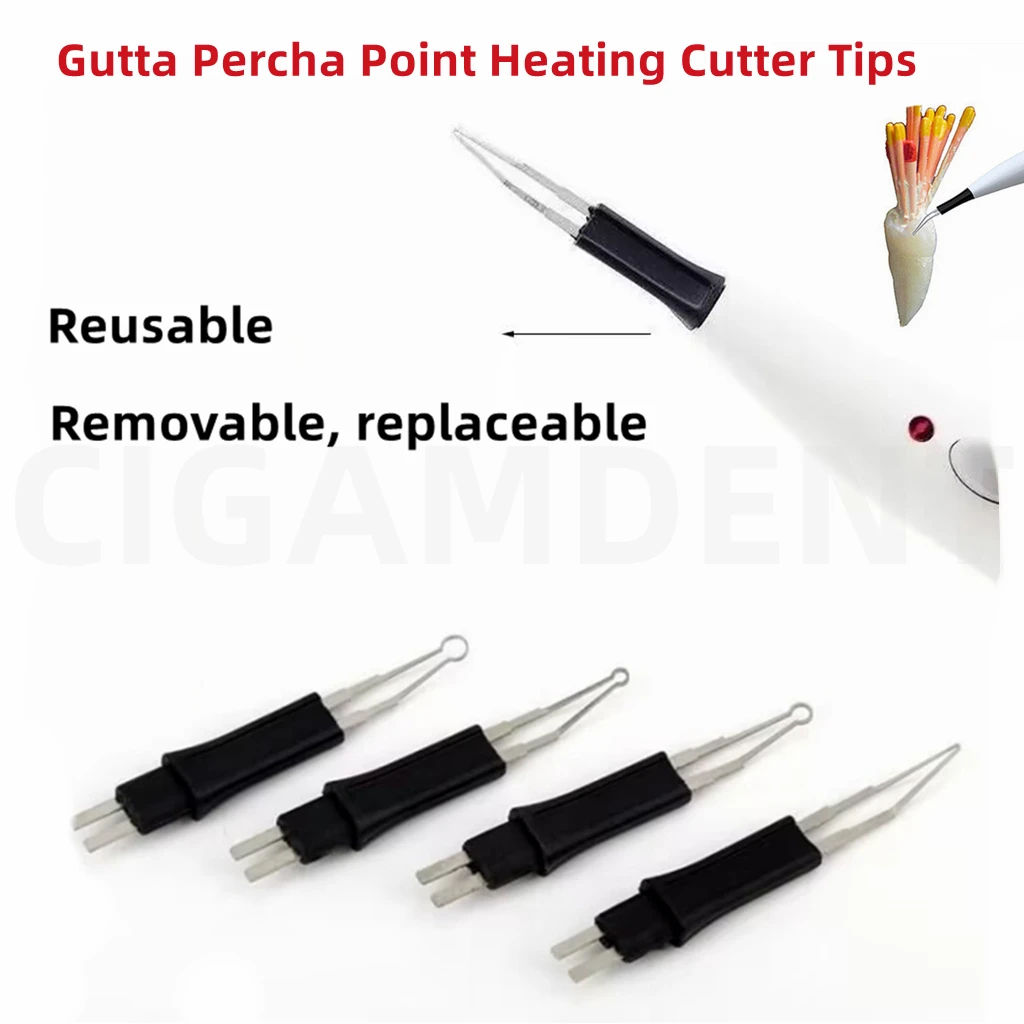 4 Tips Oral Dental Gutta Percha Tooth Gum Cutter Endo Gutta Cutter Gutta Percha Dissolved Breaker Cutter Tooth Whitening