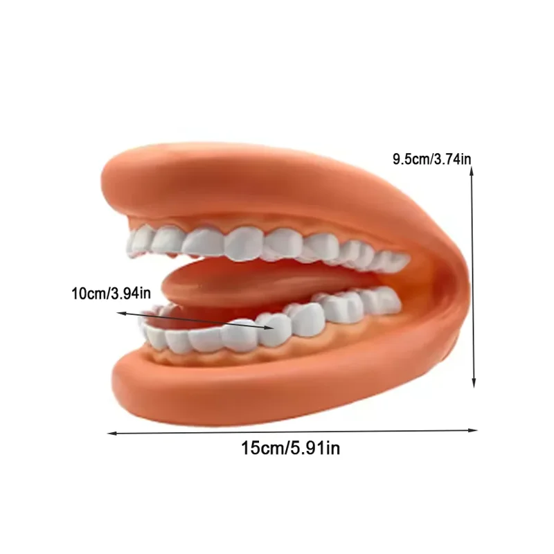Dental Model Mighty Mouth Hand Puppet With Tongue Children\'s Brushing Toy Speech Therapy Dentist Teaching Model Oral Training