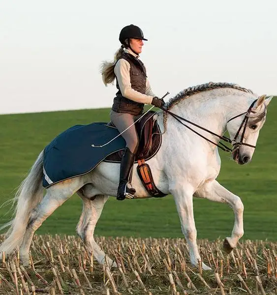 Alfombra estable de caballo de verano, Sábana equina combinada con tela de malla impermeable, carcasa de algodón, poliéster, relleno de forro de nailon, nuevo estilo