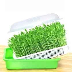 1set prout Sprout Pot Sprout Vegetable Seedling Tray Soilless Cultivation Hydroponic Equipment Pea Planting Sprout Bean Seedling